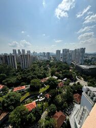 The Rochester Residences (D5), Apartment #435696771